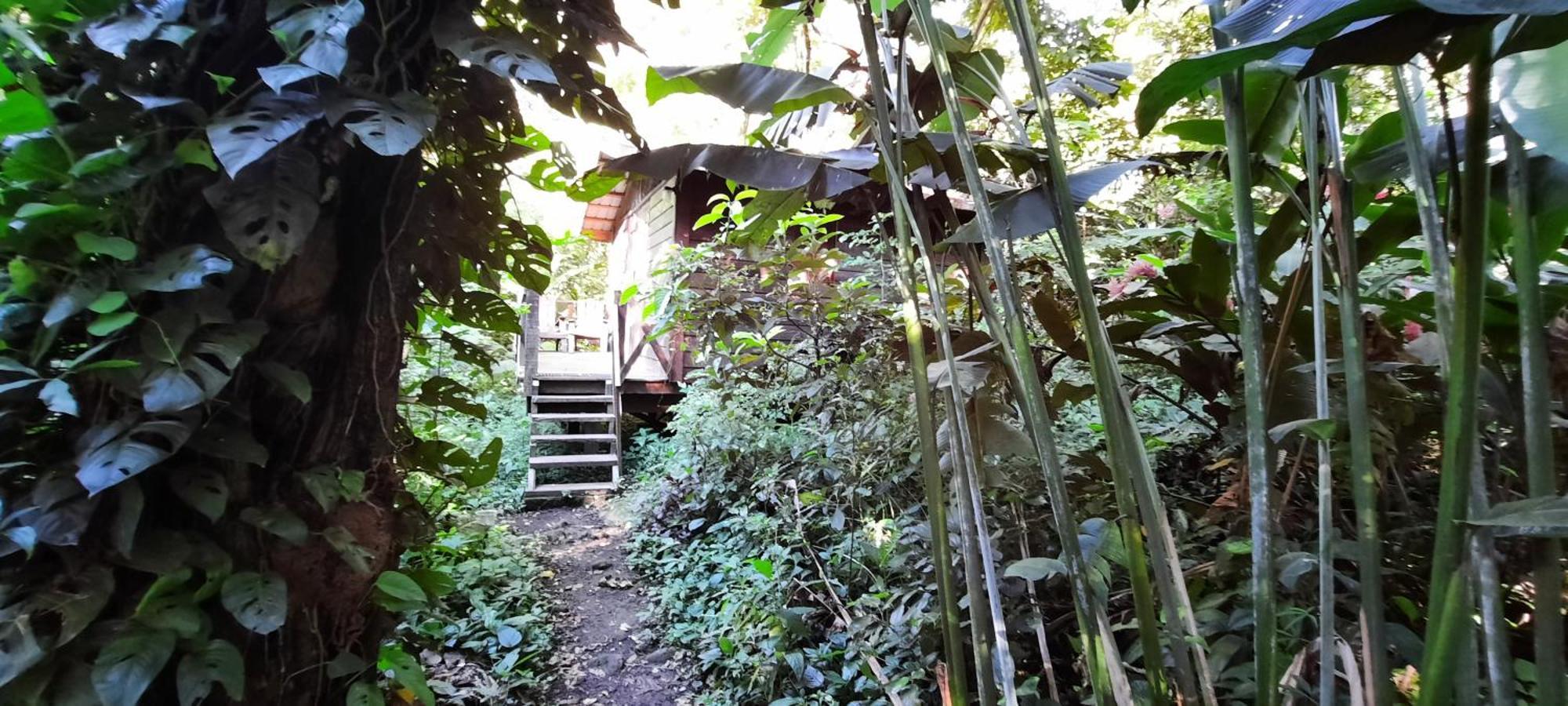 Mombacho Lodge Granada Buitenkant foto