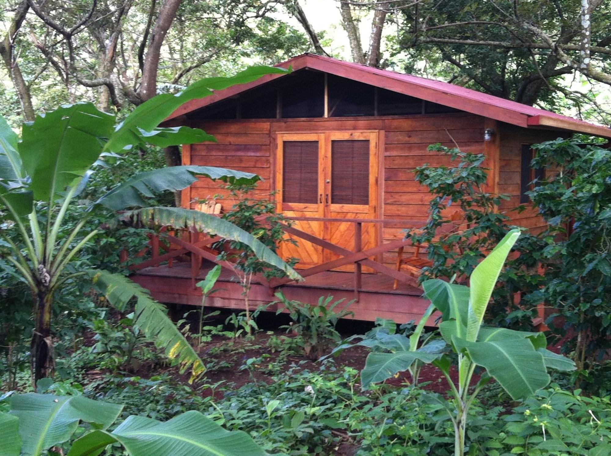 Mombacho Lodge Granada Kamer foto