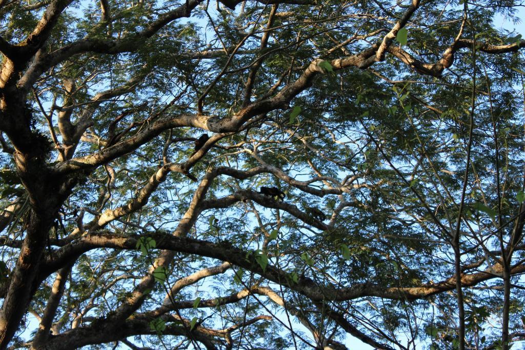 Mombacho Lodge Granada Buitenkant foto